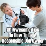 101 Awesome Tips On How To Be A Responsible Dog Owner