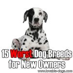 15 Worst Dog Breeds For New Owners
