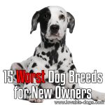 15 Worst Dog Breeds For New Owners