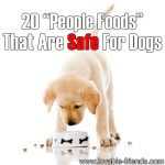 20 “People Foods” That Are Considered Safe For Dogs