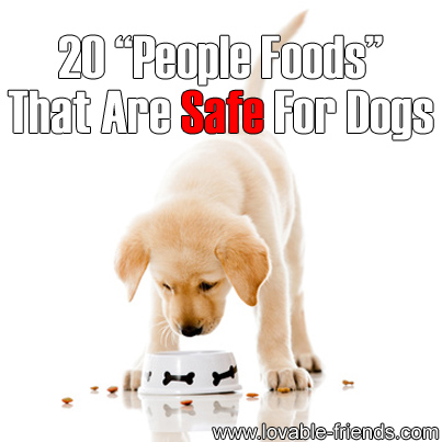 20 People Foods That Are Safe For Dogs