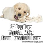 33 Dog Toys You Can Make From Household Items