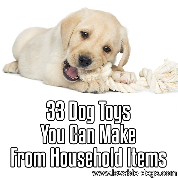 33 Dog Toys You Can Make From Household Items - WP