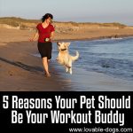 5 Reasons Your Pet Should Be Your Workout Buddy