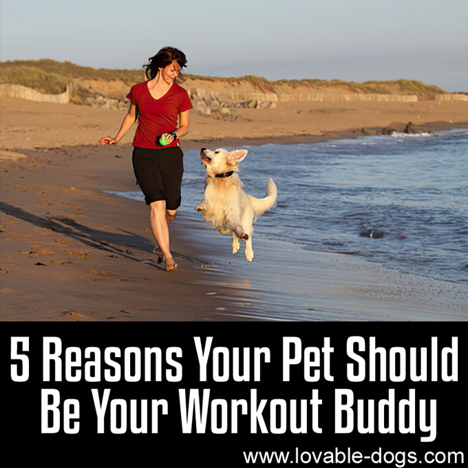 5 Reasons Your Pet Should Be Your Workout Buddy -WP
