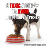 6 Toxic Additives To AVOID In Dog Food & Treats