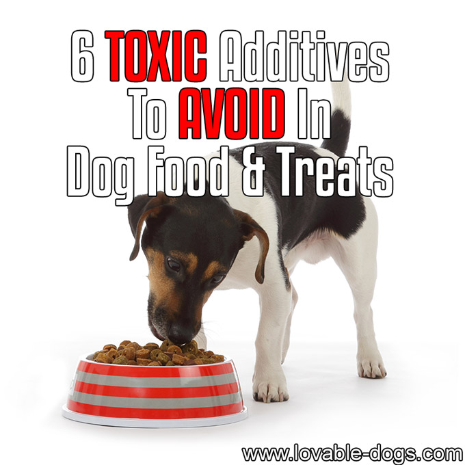 6 Toxic Additives To AVOID In Dog Food & Treats - WP