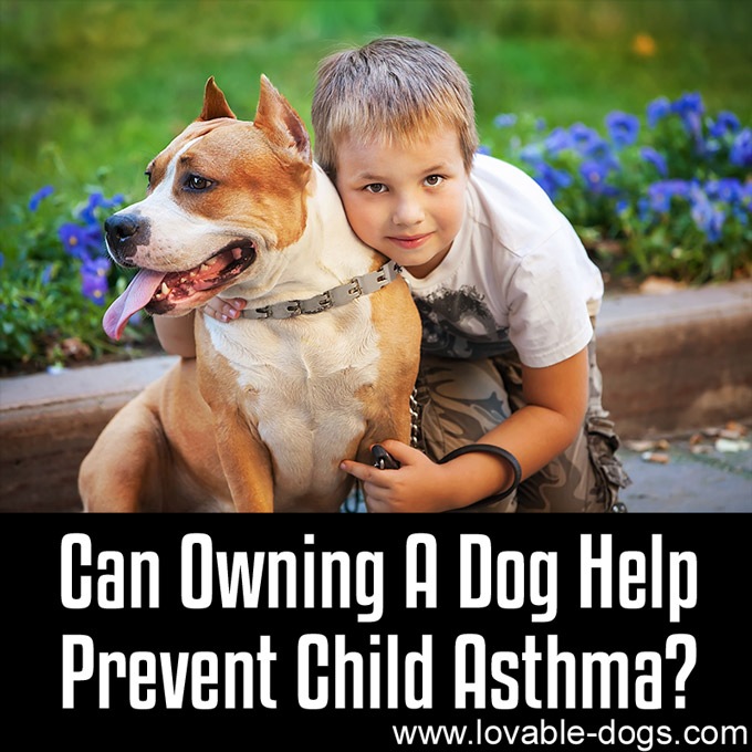 Can Owning A Dog Help Prevent Child Asthma - WP