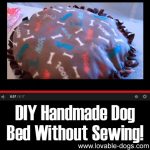 DIY Handmade Dog Bed Without Sewing
