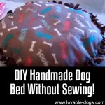 DIY Handmade Dog Bed Without Sewing