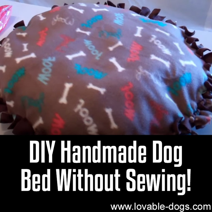 DIY Handmade Dog Bed Without Sewing - WP