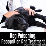 Dog Poisoning: Recognition And Treatment
