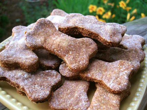 Homemade Treats For Your Pet Dog