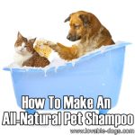 How To Make An All-Natural Pet Shampoo