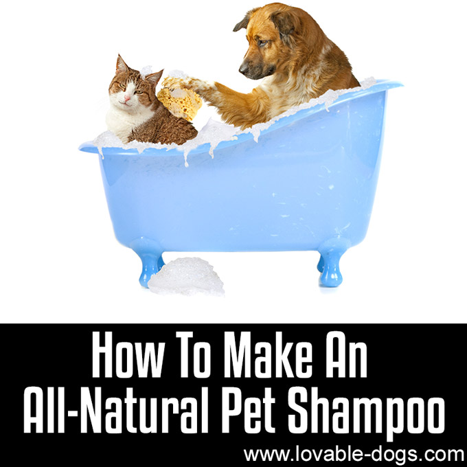 How To Make An All-Natural Pet Shampoo - WP