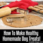 How To Make Healthy Homemade Dog Treats