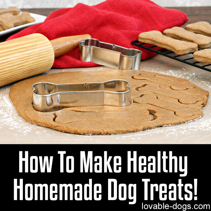 How To Make Healthy Homemade Dog Treats - WP
