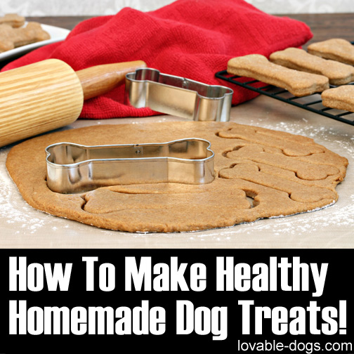 How To Make Healthy Homemade Dog Treats