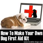How To Make Your Own Dog First Aid Kit