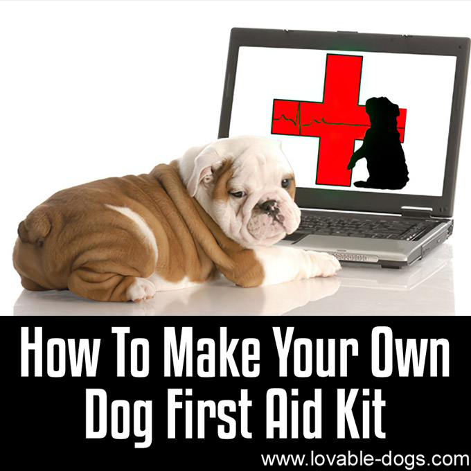 How To Make Your Own Dog First Aid Kit - WP