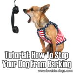 How To Stop Your Dog From Barking (2 tutorials)
