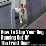 How To Stop Your Dog Running Out Of The Front Door