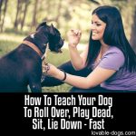 How To Teach Your Dog To Roll Over, Play Dead, Sit, Lie Down – Fast
