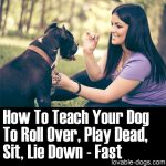 How To Teach Your Dog To Roll Over, Play Dead, Sit, Lie Down – Fast