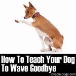 How To Teach Your Dog To Wave Goodbye