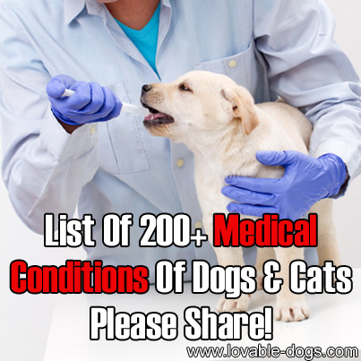 List Of 200+ Medical Conditions Of Dogs And Cats