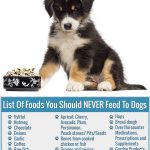 List Of Foods You Should NEVER Feed To Dogs