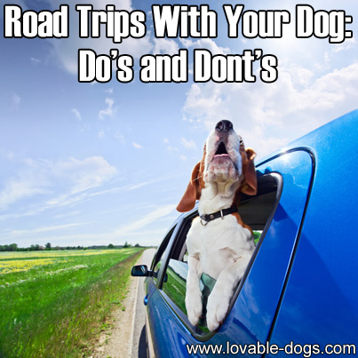 Road Trips With Your Dog - Dos and Donts