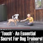 “Touch” – An Essential Secret For Dog Trainers