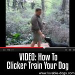VIDEO: How To Clicker Train Your Dog