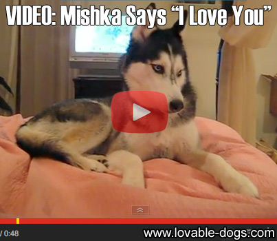 VIDEO - Mishka Says I Love You