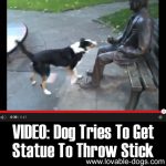 VIDEO: Dog Tries To Get Statue To Throw Stick