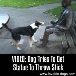 VIDEO: Dog Tries To Get Statue To Throw Stick