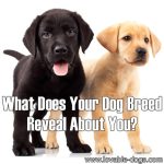 What Does Your Dog Breed Reveal About You?
