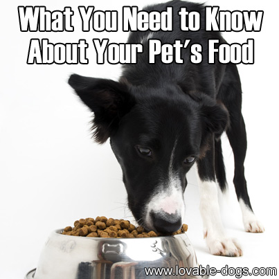 What You Need to Know About Your Pet's Food