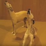 Singing Whippets