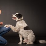 How To Train Your Dog Without Cruelty