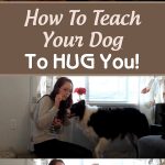 How To Teach Your Dog To HUG You!