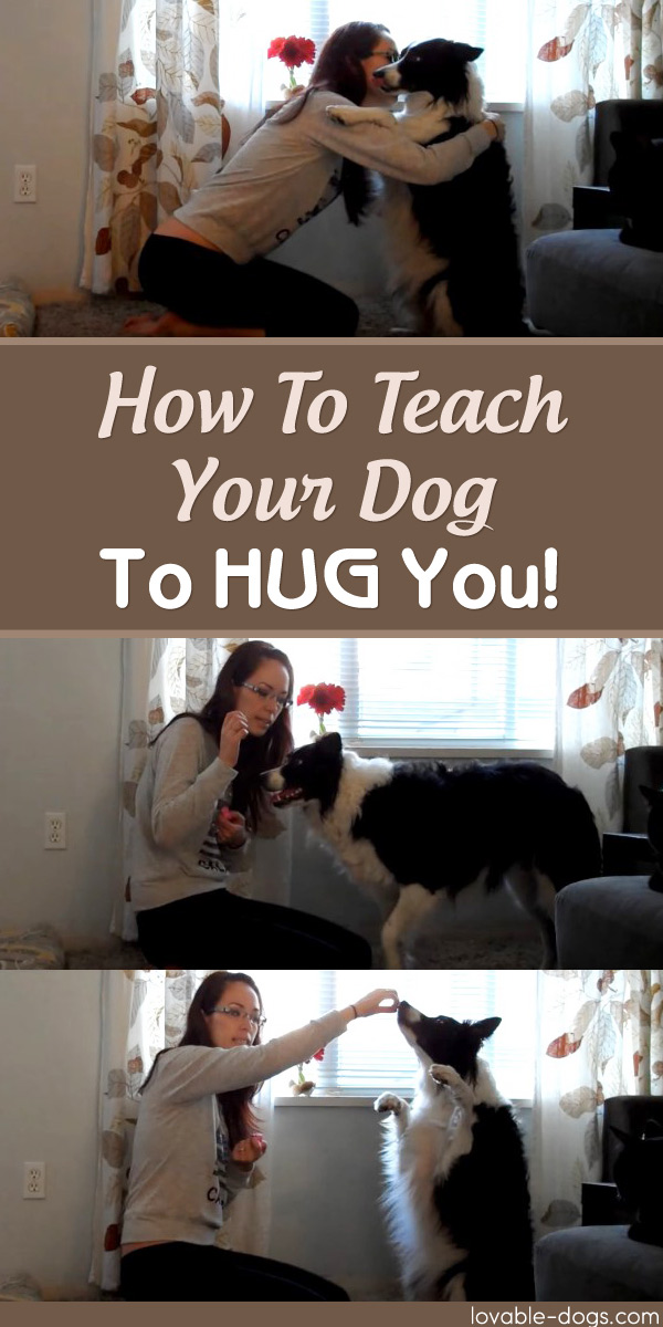 How To Teach Your Dog To Hug You