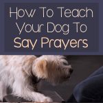 How To Teach Your Dog To Say Prayers