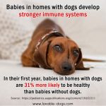 Babies In Homes With Dogs Develop Stronger Immune Systems