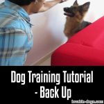 Dog Training Tutorial – Back Up