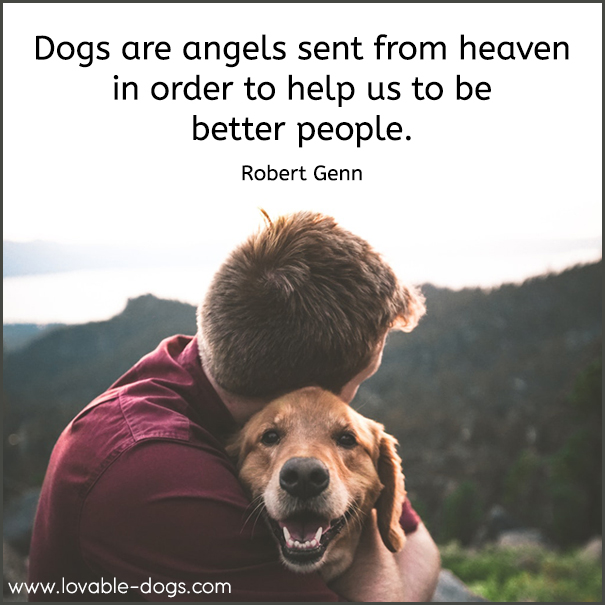 Dogs Are Angels Sent From Heaven