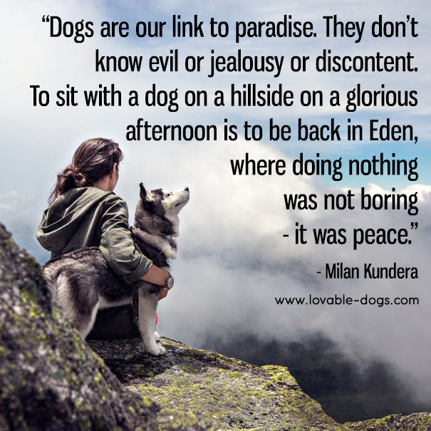 Dogs Are Our Link To Paradise