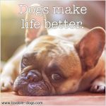 Dogs Make Life Better