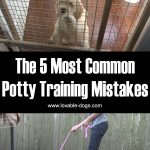 The 5 Most Common Potty Training Mistakes